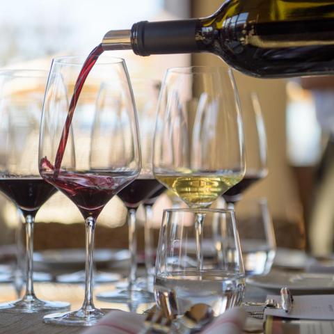 wine tasting